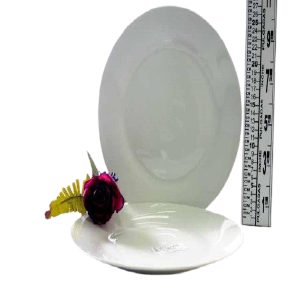 PLATO DE PORCELANA 10.5 BLANCO REDONDO