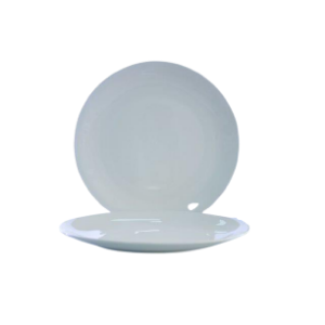 PLATO DE PORCELANA 10 